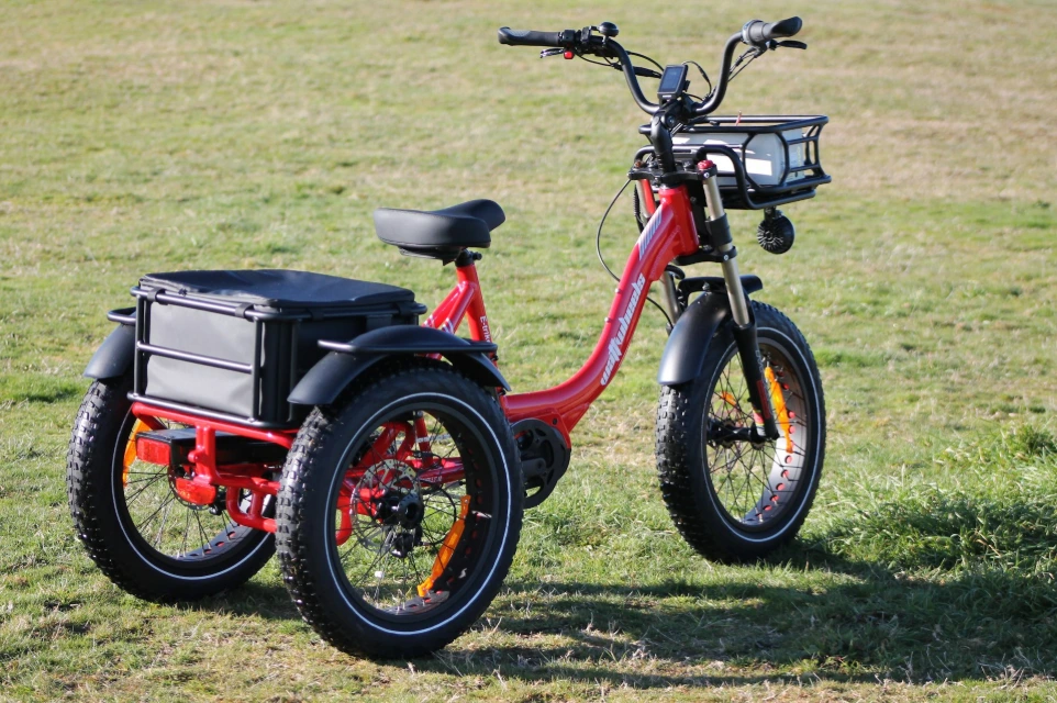 A red electric tricycle with storage baskets sits on grass.